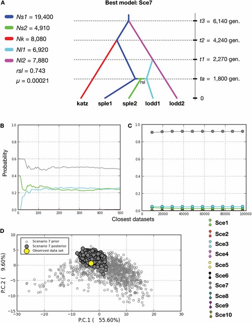 Approximate Bayesian computation model to reconstruct the demographic history and relationships among five groups representing three Zamia species. A, The best of the ten compared models and median values of estimated parameters. Population groups correspond to those obtained in STRUCTURE analyses as shown in Figure 3. Time parameters are given in number of generations and µ is rate in mutations per allele per generation. Detailed information of parameter estimations is shown in Table S12 (Supporting Information). Model Sce7 was found as the most likely model among the competitors in the direct linear (B) and logistic regressions (C). D, The certainty of the model is supported since the posterior values are close to the observed values.