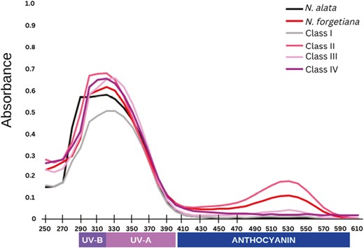 Quantification of pigments of sympatric and allopatric sites of N. alata and N. forgetiana. Nicotiana alata N = 4, N. forgetiana N = 5, Class I N = 13, Class II N = 14, Class III N = 4, Class IV N = 1. Flavonols UV-B shortwave (290–320 nm); flavanols UV-A longwave (320–400 nm), and anthocyanins (400–600 nm).