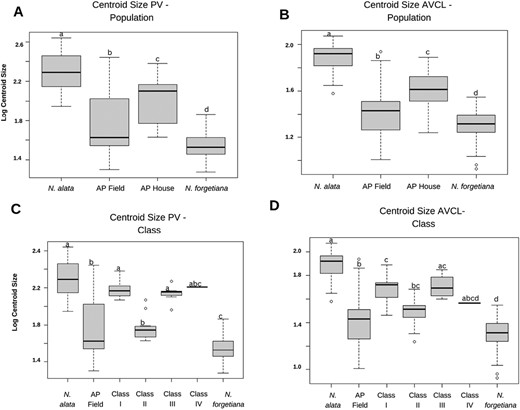 Boxplots of size variation among population groups and phenotype classes. (A) corolla PV—Populations centroid size variation, (B) corolla AVCL—Populations centroid size variation, (C) corolla PV—Class centroid size variation and (D) corolla AVCL—Class centroid size variation. Pairwise comparison is represented by letters. The same letters show pairs with no significant variations (P < 0.01).