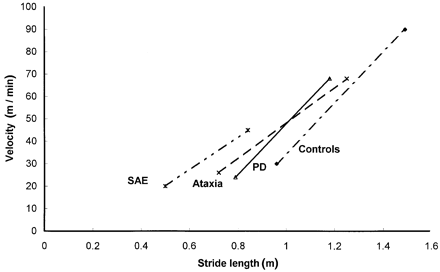 Diagram showing the mean regressions of velocity versus stride in controls (y = 113x – 78) and patient groups [subcortical arteriosclerotic encephalopathy (SAE), y = 73x –16; ataxia, y = 79x –31; Parkinson's disease (PD), y = 112x – 64].