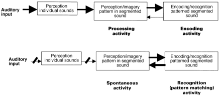  (Top) The processes occurring during the normal perception of pattern in segmented sound. (Bottom) The proposed basis for musical hallucinations, due to spontaneous activity in the module for the perception and imagery of pattern in segmented sound.