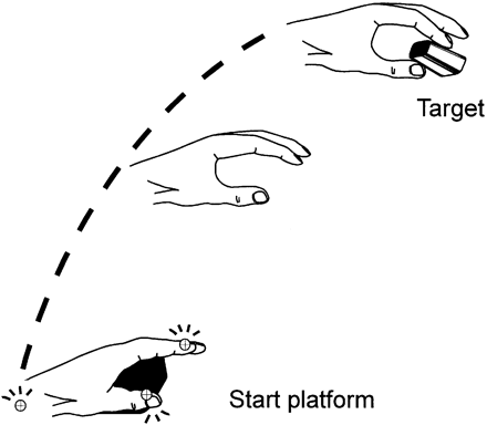 Prehension paradigm. The hand is resting on a platform. A reaching movement to the target is performed.