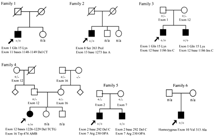 Fig. 1 Family trees of all kindreds with mutations in the triple A gene. Circle = female; square = male; filled = clinically affected. Arrow indicates the proband. +/+ = two mutations; +/– = normal carrier of a mutation; –/– = no mutation; del = deletion; ins = insertion; n/a = not tested genetically. The mutation details are given beneath the affected individual. In the text and subsequent tables when referring to the family number this means the affected individual in the family. In family 3, 3.1 is the proband and 3.2 the other affected sibling, family 5, 5.1 is the proband and 5.2 the other affected sibling. Family members that are heterozygous are indicated with the exonic location of the mutation. All mutations segregate with the disease in an autosomal recessive pattern. AMB = stop codon TAG; OPA = stop codon TGA.