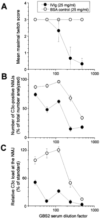 Fig. 4 Inhibition of serum anti‐GQ1b IgG antibody‐mediated twitching of muscle fibres and complement activation at neuromuscular junctions (NMJs) by intravenous immunoglobulin (IVIg). (A) The effects of a dilution series of Guillain–Barré syndrome serum (GBS2) was determined in the twitch bioassay, with IVIg (25 mg/ml), or bovine serum albumin (BSA, 25 mg/ml) as a control, added in the 1 h incubation period before, and during the addition of normal human serum as complement source (Fig. 1, protocol E). Each serum dilution was tested in triplicate. C3c deposition at NMJs was determined in muscle strips from the twitch bioassay experiments and expressed as the number of C3c‐positive NMJs as percentage of the total analysed (n = 1700) (B) and as the relative load of C3c deposited per end‐plate analysed (C).