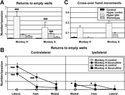 Errors on a simple choice task associated with hyperactivity. (A and B) Returns to empty wells; (C) cross-over hand movements in control conditions and after microinjections that induced hyperactivity. In A and C, the mean number of errors per session for the half-boards contralateral and ipsilateral to the microinjection site during hyperactivity are compared with the values obtained in control and stereotypy conditions. In B, the spatial distribution of returns to empty wells during hyperactivity is compared with the values obtained in control conditions (monkeys H and A are superimposed). There were significantly more returns to both contralateral (in the most lateral column) and ipsilateral (in the most medial column) empty wells during the hyperactivity effect. This effect was, however, greater on the contralateral side (A and B). In contrast, no effect was observed during microinjections inducing stereotypies. For both monkeys, the increase in cross-over hand movements was confined to the contralateral half-board. As there was no difference in the frequency of errors between the right and left sides for the control and stereotypy values, data from both sides were pooled. Results for monkey B, which had fewer microinjections than monkeys H and A, are not represented (*P < 0.05; **P < 0.01; ***P < 0.001).