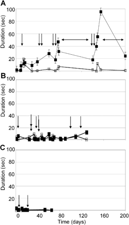 Evolution of spontaneous behaviour during control sessions over the entire experimental period. A, B and C show the time course of two kinds of behaviours observed during stereotypy effect, for monkeys H, A and B, respectively: licking/biting fingers (filled symbols) and tail examination (open symbols). Each value represents the mean duration of one behaviour over 6–12 three min periods during the post-injection and post-task periods. Abscissas show the time elapsed (in days) since the beginning of experimentation. Vertical arrows represent the moment of microinjections that induced stereotypies. (A) For monkey H, horizontal arrows show the two periods when experiments were interrupted. The level of expression of licking/biting fingers behaviour increased during control days close to microinjection days that induced stereotypy (filled symbols). The level of the other behaviour involved in the stereotypy effect (tail examination) remained stable throughout the entire period (open symbols). (B and C) For the other two monkeys (monkeys A and B), the expression of these behaviours was unchanged during the whole period.