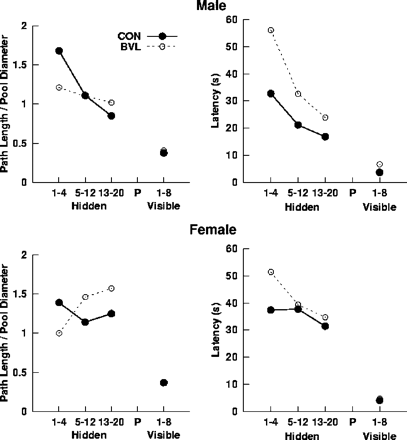 Mean latency and path length for male and female patients and controls to navigate to the platform during the 20 hidden platform (place learning) and eight visible platform (cued-navigation) trials. Average values were computed for hidden platform trials 1–4, 5–12 and 13–20, and the eight visible platform trials.