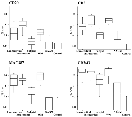 Box and whisker plots to display relative inflammatory cell densities of lesions and control areas. The graphs display the percentage of the lesion area accounted for by each inflammatory cell class in each lesion type and control area. Boxes show the median and interquartile range whereas the whiskers extend to the 5th and 95th centiles. Despite the large variations in densities of each cell type (note the use of a logarithmic scale) a consistent pattern was found to apply across all cell types with subpial lesions having a significantly lower cell density than leucocortical and intracortical lesions. Note that the data displayed for WM refers to the cell density in the white matter portion of leucocortical lesions.