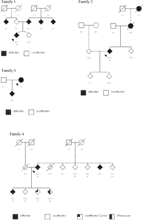 Pedigrees of other British families with LRRK2 mutations.