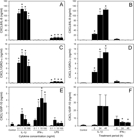 Induced CXC chemokine production and secretion by astrocytes in vitro. Levels of CXCL8 (A and B), CXCL1 (C and D) and CXCL10 (E and F) were detected by sandwich ELISA in supernatant fluid collected from astrocyte cultures after 6–48 h treatment with proinflammatory cytokines or LPS. IL-1β induced significant release of CXCL8 and CXCL1 by human astrocytes in a time-dependent manner, while IFN-γ had no effect. In contrast, both IL-1β and IFN-γ treatment resulted in induced CXCL10 production by astrocytes. Limited amounts of CXCL8, CXCL1 and CXCL10 were detected in astrocyte supernatant fluid following stimulation with LPS. Concentration effects in A, C and E were tested in supernatant fluid collected after 24 h incubation. Graph bars represent mean chemokine secretion ± SEM of astrocyte cultures from two different fetuses (n = 4). (*)P < 0.03 compared with control untreated astrocytes.
