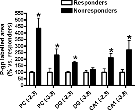 Relative increases in P-glycoprotein (Pgp) expression in limbic brain regions of phenobarbital non-responders compared with responders (which are set to 100%). Data are from analysis of the Pgp-labelled area as assessed by measurement of labelled surface area (see Methods). For absolute values see Table 1. Data are shown as mean ± SEM of seven responders and four non-responders. Significant differences between groups are indicated by an asterisk (P < 0.05). All regions are from the ipsilateral hemisphere. Numbers in brackets indicate the section level relative to bregma. PC = piriform cortex; DG = granule cell layer of the dentate gyrus.