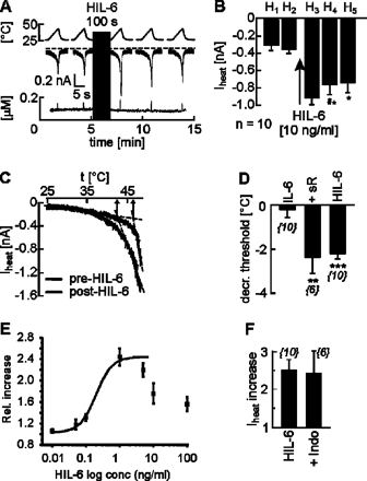 HIL-6 sensitizes sensory neurons to noxious heat via a prostaglandin-independent pathway. (A) Example of a neuron showing facilitation of heat-activated currents (Iheat) after exposure to HIL-6 (10 ng/ml). Iheat were elicited by identical 5 s ramp-shaped heat stimuli (H1–H5) at 1 min intervals. HIL-6 treatment did not change [Ca2+]i levels (lower panel). (B) Mean ± SEM of Iheat amplitudes before and after exposure to HIL-6 (10 ng/ml) (∼100 s; n = 10). (C) Example of a neuron showing a drop in the heat threshold from 46.5 to 42.5°C after exposure to HIL-6 (10 ng/ml). (D) Mean ± SEM decrease in heat thresholds after IL-6, IL-6–sIL-6R or HIL-6 treatment. The numbers in parentheses represent numbers of neurons tested. Asterisks mark significant differences (*P < 0.05; **P < 0.01; ***P < 0.001). The dose–response relationship for HIL-6 is given in E; the numbers of cells for each concentration range between 4 and 5. (F) Mean ± SEM. Iheat increase after HIL-6 (10 ng/ml) or HIL-6 + indomethacin (30 µM). The numbers in parentheses represent the numbers of neurons tested.