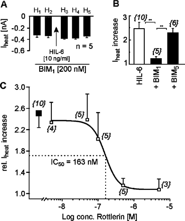 IL-6-induced sensitization of Iheat depends on PKC activation. (A) Mean ± SEM Iheat amplitudes of current responses to heat stimuli (H1–H5) before and after exposure to HIL-6 in the presence of BIM1 (200 nM; n = 5). (B) Mean ± SEM Iheat increase after HIL-6 (10 ng/ml), HIL-6 + BIM1 (200 nM) or HIL-6 + BIM5 (200 nM). Responses were normalized to the current amplitude immediately preceding HIL-6 application. The numbers in parentheses correspond to the numbers of neurons tested. Asterisks mark significant differences (**P < 0.01). (C) Concentration–response curve for the inhibitory effect of the PKCδ inhibitor rottlerin (open squares) on the HIL-6-induced Iheat increase (filled square): IC50 = 163 nM. The numbers in parentheses correspond to the numbers of neurons tested.