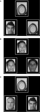 Examples of faces used as stimuli for the encoding (A), perception (B) and recognition (C) tasks.