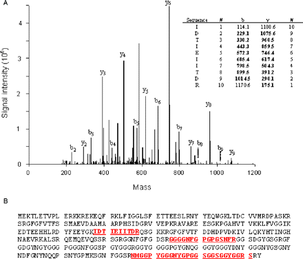(A) Tandem MS spectrum of a doubly charged, tryptic peptide (m/z 1378.58) and sequence data interpretation for a peptide associated with hnRNP A2. Fragmentation of N-terminal and C-terminal peptide fragments correspond to b-type and y-type ions, respectively. (B) Peptides identified and matched with hnRNP A2 (underlined).