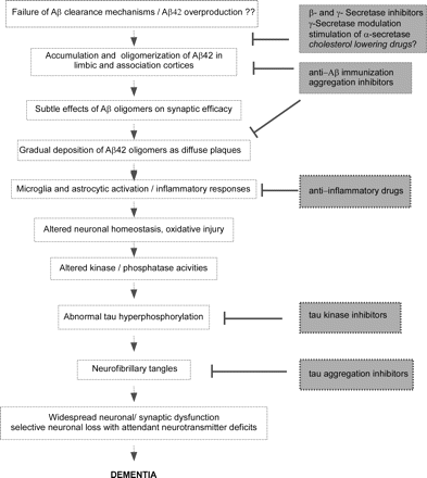 Amyloid cascade hypothesis and selected strategies for therapeutic intervention. The figure summarizes the presumed sequence of pathological processes that leads to neurodegeneration in AD according to the amyloid cascade hypothesis (Hardy and Selkoe, 2002), and indicates selected potential approaches for therapeutic intervention. Aβ42 is believed to initiate this series of pathogenic events. Modified from: D. Selkoe, ‘The amyloid hypothesis’. Alzheimer Research Forum. Available at . Accessed in August 2006.