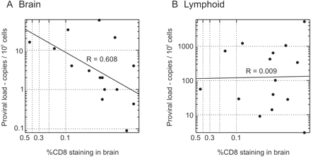Association between degree of T cell infiltration of the brain with proviral load in (A) brain and (B) lymphoid tissue for each of the 15 study subjects. Proviral loads were calculated by titration to limiting dilution of DNA extracted from tissues amplified by nested PCR using primers from the V3 region.