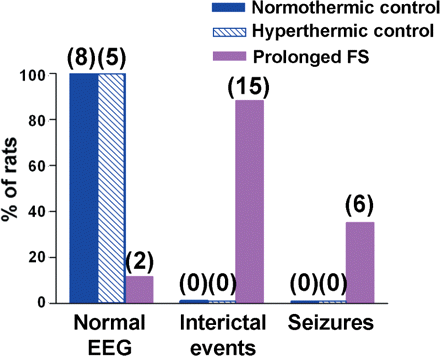 Epilepsy after experimental prolonged febrile seizures (FS): Quantitative analysis of the number of rats developing epileptic EEG and behavioural changes. The prolonged FS group (n = 17) sustained hyperthermia for 30 min on postnatal day (P)10, that elicited seizures lasting 24.1 ± 0.1 min. Chronic video-EEGs were recorded during P90–180 in this group and in normothermic and hyperthermic control rats (see Materials and methods for definitions). In both control groups, EEGs recorded over more than 400 h did not contain any epileptiform discharges. None of the controls developed spontaneous seizures. The FS evoked interictal events in 88.2% of rats, and spontaneous seizures, with both behavioural and electrographic manifestation, seizures in six (35.2%) rats.