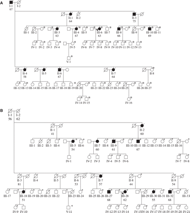 Pedigrees of Belgian FTLD families DR2 (A) and DR8 (B). Filled symbols represent FTLD patients; open symbols represent unaffected individuals. The number below the individuals denotes age at onset for patients and age at death for obligate carriers. When available, affection status and onset age were determined from medical records (III-4, III-6, III-8 and III-10 of family DR2, and III-9, III-18 and III-28 of family DR8), for the other patients these were determined using information provided by family informants. An arrowhead indicates the index patient. An asterisk (*) denotes that DNA was available for genotyping.