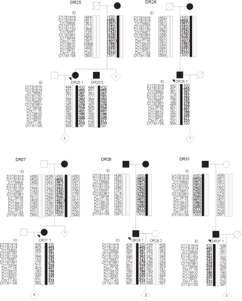 Pedigrees of Belgian FTLD families DR25, DR26, DR27, DR28 and DR31, showing chromosome 17q21 haplotypes of selected relatives based on 14 STR markers; allele lengths are indicated in base pairs. The index patients (indicated with an arrowhead) were selected on the basis of allele sharing with the DR2–DR8 ancestral haplotype. The disease haplotype is boxed in black. The DR2–DR8 ancestral haplotype is highlighted in bold. Inferred haplotypes are shown between parentheses. For confidentiality reasons haplotypes are shown only for patients and obligate carriers; the number of at-risk individuals included in the genotyping is indicated within diamonds.