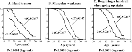 (A–C) Kaplan–Meier analysis of age at onset of hand tremor, muscular weakness and requirement of a handrail. There was a highly significant difference between the patient group with ≥47 CAG repeats and the group with <47 CAG repeats, as compared by log rank tests.