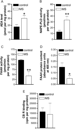 Endocannabinoid metabolism in peripheral lymphocytes of control and MS subjects. (A) AEA levels were increased in peripheral lymphocytes of MS patients. (B) The activity of NAPE-PLD, key enzyme in the AEA synthesis, was increased in MS patients. The activity (C) and protein expression (D) of the AEA degrading enzyme FAAH were reduced in these patients. (E) The binding of CB receptors was conversely unaltered in peripheral lymphocytes of MS patients. *P < 0.001; **P < 0.0001.