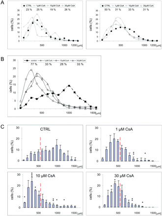 CsA inhibits invasiveness of glioblastoma cells in brain slice cultures. (A) The invasiveness of glioblastoma cells within brain slices in the absence or presence of CsA was determined and distance histograms were constructed. The percentage of cells, which migrated >500 μm after 2 (left) or 4 (right) days of culture was calculated. Data are expressed as means from three independent experiments. (B) Distance histograms from control slices and CsA-treated slices (1 μM, 10 μM or 30 μM) 5 days after glioblastoma inoculation. The percentage of cells migrating >500 μm was calculated (means from three experiments). (C) Distance histograms from control slices and CsA-treated slices (1 μM, 10 μM or 30 μM) 5 days after glioblastoma inoculation; indicative interval is 100 μm. The data show that CsA inhibits invasiveness of glioblastoma cells in cultured brain slice cultures. The panel shows means ± SD from three independent experiments. A statistical significance of differences between control or CsA-treated slices was determined using Newman–Keuls analysis, *P < 0.05, **P < 0.01.
