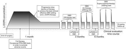 Schematic flow-chart of the postsurgery follow-up (x axis = time-course; y axis = l-dopa concentration). Note the following main phases: immediate postsurgery weeks (insertional period); DBS parameter optimal setting under stable drug-therapy; DBS testing in OFF-medication; DBS testing in ON-medication (distinguished in subdyskinetic and suprathreshold challenge tests). Note that, at least for these double-implanted PD patients, ADL scores and S&E scale were drawn from prolonged observations (1 week each) at around 3 and 6 months.
