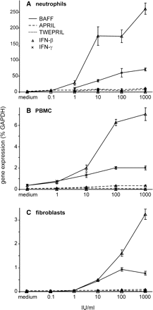 IFN-β is a stronger inducer of BAFF than IFN-γ in neutrophils (A), peripheral blood mononuclear cells [(PBMC, (B)], and fibroblasts [(HFF, (C)]. Cells were incubated with increasing concentrations of IFN-β and IFN-γ overnight. BAFF expression was measured by TaqMan PCR. IFN-β induced BAFF expression in all cell types. The maximal inducible expression was higher with IFN-β than with IFN-γ. In contrast, APRIL and TWE-PRIL were barely or not at all induced. Due to low expression, not all data points for TWE-PRIL are visible. The legend shown in (A) is valid for all cell types. Error bars indicate SD of replicates.