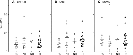 BAFF receptor expression is not influenced by IFN-β in vivo. Whole blood samples were analysed by TaqMan PCR for the expression of the BAFF receptors in healthy controls (HC), untreated multiple sclerosis patients (NT), IFN-β-treated MxA responders (R) and non-responders (NR). Transcription of BAFF-R, TACI and BCMA was not changed significantly by IFN-β therapy.