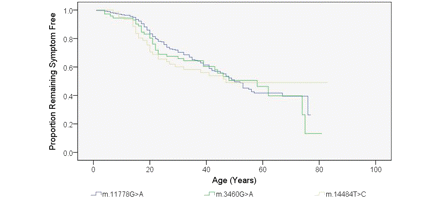 Kaplan–Meier curve showing disease onset with regard to the three primary LHON mutations (P = 0.946 by log-rank test). Age of onset (years) was defined as the age when the patients first noticed their visual symptoms.