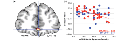 Individual differences in ventromedial prefrontal cortex (vMPFC) self-other distinction and early childhood social symptom severity. This figure displays (a) the vMPFC region (MNI x = 2, y = 44, z = −12) that is correlated with early childhood social symptom severity (measured by the ADI-R). (b) The correlation for the contrasts of self-mentalizing compared with other-mentalizing (SM > OM; red dots) and self-physical compared with other-physical (SP > OP; blue dots).