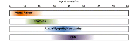 Evolution of the major clinical features observed in DOA+ syndromes.