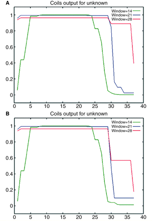 In silico prediction of coiled-coil regions within the segment of 37 amino acids encoded by exon 5b: (A) wild-type, and (B) p.S256R substitution. The modelling accuracy increases with larger scanning windows (28 > 21 > 14), and probabilities > 0.5 indicate a high likelihood of coiled-coil conformation. The p.S256R substitution is predicted to reduce the coiled-coil forming potential by ∼45%. (http://www.ch.embnet.org/software/COILS_form.html). Green line = window 14; Blue line = window 21; Red line = window 28.
