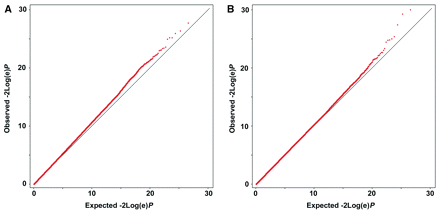 Quantile–quantile plots of P-values (red dots) of genome-wide association-analysis in partial epilepsies based on P-values calculated using logistic regression and including significant EIGENSTRAT axes as covariates (A) and using the Cochran–Mantel–Haenszel test (B). Figure generated in WGAviewer (Ge et al., 2008).