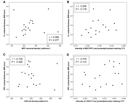 Absence of significant ‘inter-tract’ correlations between MRI cortical thickness and both (A and C) a measure of thalamic nucleus cell density and (B and D) the intensity of staining for proteolipid protein (‘level of myelination’) in both LGN-V1 and MDT-PFC. T = light transmittance.