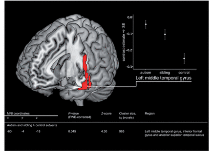 Hyperactivation in temporal and frontal regions in adolescents with autism and their siblings, relative to control subjects. Activation map indicates areas where EFT-related activation (EFT versus control task) is significantly greater in autism and sibling groups versus control subjects. Map thresholded at uncorrected P = 0.001 on whole brain level and rendered onto 3D MNI template brain image in MRIcron. The table within this figure indicates the significant result after correction for multiple comparisons on FWE-corrected whole brain level. Graph indicates means (SE) for average contrast estimate (EFT—control task) from 4-mm-radius sphere around the FWE-corrected peak result (−60, −4, −18).