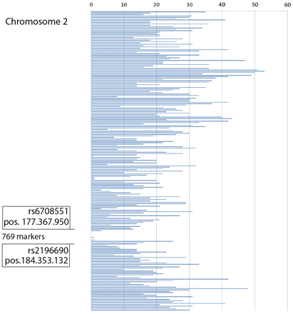 Detailed mapping of the implicated disease region on chromosome 2 using the regions free of incompatibilities model. SNP markers (n = 22 200) for chromosome 2 were used and in this figure they are grouped in 222 groups of 100 consecutive markers. The groups flanking the region of a low number of incompatibilities are indicated. The region extends over 769 SNP markers and 6.99 Mb of DNA on chromosome region 2q, from SNP marker rs6708551 in position 177 367 950 to marker rs2196690 in position 184 353 132. Thus, the haplotype contains the TTN g.274375T > C mutation (with genomic location chromosome 2:179 410 829) that is shared by all affected individuals. All positions are relative to the February 2009 – GRCh37/hg19 genome assembly.