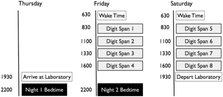 Example of the 48-h protocol focusing on the polysomnographic and digit span assessments. The timing of assessments was tailored to each patient depending on their typical bed and wake times.