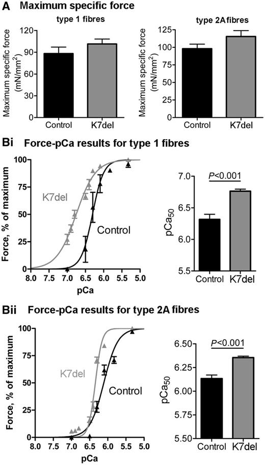 Normal force generation and increased myofibrillar Ca2+ sensitivity in K7del patient myofibres. (A) Maximum specific force was not statistically different between controls and K7del patients in either type 1 or type 2A myofibres. (Bi and ii) The Ca2+ sensitivity of muscle contraction was increased in both type 1 and type 2A myofibres from K7del patients compared with control myofibres.