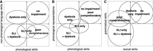 Models of SLI and dyslexia in three and in four dimensions. (A) The two-dimensions proposed by Bishop and Snowling (2004). (B) The two phonological dimensions evidenced in the present study. (C) A hypothetical split of the non-phonological dimension into two distinct ones: lexical and grammatical skills.