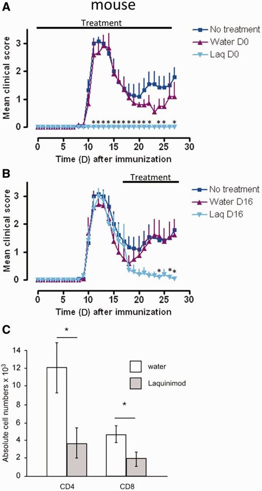 Laquinimod effectively blocks induction and relapse in EAE and reduces CNS T cell infiltration. (A) Preventive treatment of mice with laquinimod suppresses the clinical signs of disease in SJL/J mice immunized with PLP139-151. (B) Therapeutic treatment of SJL/J mice immunized with PLP139-151 from Day 16 after immunization with laquinimod ameliorates clinical disease. (C) PLP139-151 immunized SJL/J mice received laquinimod as a therapeutic treatment (started at Day 16). At Day 28 CNS-infiltrating CD4+ and CD8+ T cells were isolated, analysed by flow cytometry and absolute numbers were calculated. Shown are representatives of two individual experiments. The graphs show the mean score ± SEM of six mice per group. *P < 0.05 water versus laquinimod treatment. Laq = laquinimod.
