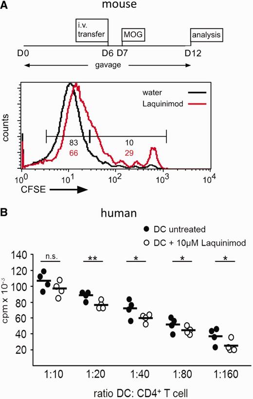 Laquinimod negatively influences T cell proliferative capacity of dendritic cells. (A) CFSE-labelled 2D2+ CD4+ T cells were transferred intravenously (i.v.) into either water- or laquinimod-treated C57BL/6 mice that received a MOG35–55 immunization 1 day later. Proliferation of transferred T cells was analysed by flow cytometry 5 days after immunization. MOG-specific transferred T cells in laquinimod-pretreated mice failed to proliferate as well as their counterparts in water-treated control mice. The graph shows one representative mouse per group of two independent experiments (B) Human monocyte-derived dendritic cell/T cell proliferation assay. CFSE = carboxyfluorescein succinimidyl ester; cpm = counts per minute; DC = dendritic cell. *P < 0.05, **P < 0.01.