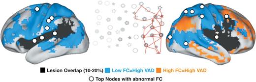 Behaviourally-relevant functional connectivity and lesion topography. The map displays a summary of main finding. White circles indicate the top 10% nodes of the left and right hemisphere showing behaviourally-relevant functional connectivity (FC). Blue and orange colours indicate voxels showing negative and positive functional connectivity:VAD correlations with the top nodes, respectively. Black colour indicates voxels damaged in the 10–20% of patients. The central inset illustrates rightward spatial biases in attention typical of neglect patients (from Corbetta and Shulman, 2011).