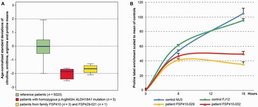 Plasma amino acid profiles and proline biosynthesis flux analysis. (A) Boxplots show the mean of four plasma amino acid levels (citrulline, ornithine, proline and arginine) expressed as their age-normalized standard deviations (y-axis; see ‘Materials and methods’ section) compared among three groups of patients: the full Necker hospital cohort of patients with no known metabolic disorders, aged >15 years (n = 5023; green); patients from the first family in which ALDH18A1 mutations were reported (n = 5; red); and the patients from Families FSP410 and FSP429 (this study) for which plasma amino acids were available (n = 4; yellow). The average of the four amino acid levels in ALDH18A1 mutated patients maps at approximately−2 SD. (B) Time course of stable isotope ratio (labelled versus natural) enrichment of proline reflecting the rate of proline biosynthesis from 13C5-labelled glutamine in fibroblasts. Two ALDH18A1-mutated patients (red and orange lines) are compared to two controls, i.e. members of the same family with no mutations (green and blue lines). Y-axis: label enrichment scaled to the mean of the controls at 18-h incubation. X-axis: hours of incubation in the presence of the tracer. Assuming a stationary phase at 18-h incubation time, proline biosynthesis in two patients harbouring ALDH18A1 p.Val120Ala mutation was estimated to be 42% of controls.
