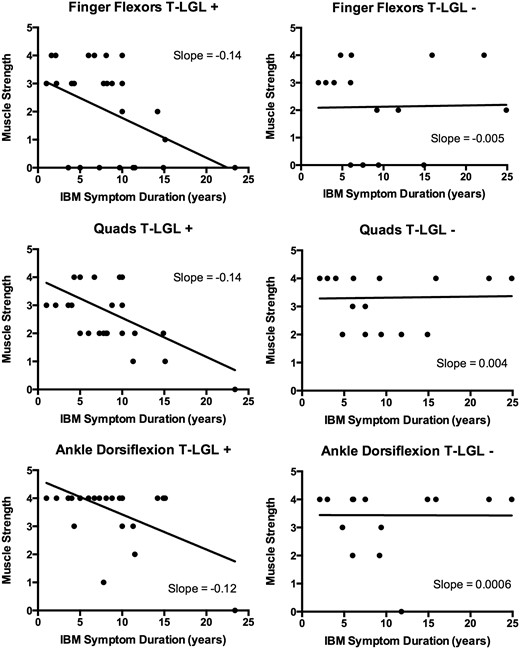  Cross-sectional relationships between muscle strength and symptom duration in patients with ( left ; T-LGL+) and without ( right ; T-LGL−) T-LGL expansions.  For each patient, the MRC strength score (scale 0–5, with 0 complete paralysis and 5 full strength) of the weakest finger flexor, weakest quadriceps, and weakest ankle dorsiflexor at a defined time in their course is plotted. More negative slopes are present for all three muscle groups in T-LGL+ patients compared with T-LGL− patients. 