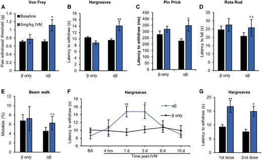 GluCl activation increases thermal and mechanical pain thresholds. (A) Von Frey test of mechanical sensitivity (β only, n = 14 animals and αβ, n = 13); (B) Hargreaves test of thermal sensitivity (β only, n = 14 animals and αβ, n = 13); (C) Pinprick assay of noxious mechanosensation (β only, n = 11 animals and αβ, n = 10); (D) Rotarod test of motor performance (β only, n = 14 animals and αβ, n = 13); and (E) beam walk test of proprioception (β only, n = 8 animals and αβ, n = 9) of GluCl AAV animals before and 24 h following 5 mg/kg ivermectin (IVM). Student’s paired t-test. (F) Time course of thermal sensitivity following a single dose of systemic ivermectin. Repeated measures ANOVA followed by post hoc Bonferroni test comparing β only (n = 12) and αβ (n = 10.) (E) Ivermectin-induced change in thermal sensitivity of two separate doses of ivermectin given 24 h prior to testing, performed 3 weeks apart. Student’s paired t-test, n = 6 animals. All averaged data represent mean ± SEM. *P < 0.05, **P < 0.01. BS = baseline.