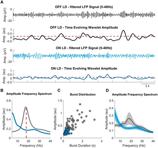 Burst determination. (A) A segment of the filtered LFP signal (5–40 Hz) and the time evolving wavelet amplitude (from the same segment) of the beta peak frequency (18 Hz) derived from the wavelet transformed signal, both for OFF (grey) and ON (blue) levodopa. The red dashed horizontal line illustrates the common amplitude threshold, which corresponds to the mean of the 75th percentile amplitudes of OFF and ON levodopa. Periods of the time evolving wavelet amplitude that cross this threshold for longer than 0.1 s were defined as beta bursts. (B) The LFP amplitude spectra for OFF and ON levodopa, with a beta peak at 18 Hz in the OFF levodopa condition and reduction of beta amplitude in the ON levodopa condition. (C) Amplitude and duration of all detected beta bursts for both the conditions taken from recordings of 258 s and 318 s duration. Example Subject 3, right side. (D) The average LFP amplitude spectra across all hemispheres for OFF and ON levodopa, with the reduction of beta amplitude during the ON levodopa condition. Values are represented as mean + SEM. LD = levodopa.