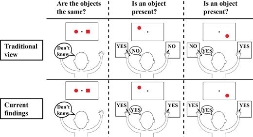 Split brain: divided perception but undivided consciousness