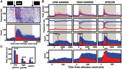 Stimulus presentation induces early broadband and late narrowband responses. (A) Narrowband (blue) and broadband (red) GA detections from one occipital cortical electrode contact are plotted at their peak amplitude frequency and latency as single points (top) and summarized as histogram counts (bottom) in response to word presentation (arrows mark the word onset and offset; grey background marks the entire word presentation interval). (B) Latency distribution of low gamma, high gamma and epsilon GAs averaged across all active contacts are plotted as: relative proportion (probability density) of all detections of a given type (top row), as percentage proportion of all GA detections (middle row), and as sum histogram count (bottom row). Dashed line indicates the 50% proportion point of equal chance of detecting a narrowband or a broadband event. Arrowheads point to the peak values of detection counts, and the dashed black rectangles mark windows for the bottom magnified views of the histogram counts. (C) Average values of latencies from word onset of peaks in narrowband and broadband detection counts, as in B (148 low gamma, 214 high gamma, and 229 epsilon band contacts; ***P < 0.001). Note the early sharp peak of broadband GAs response (especially in the epsilon band), which results in equal proportion of the two GA types and precedes subsequent narrowband response peak in all frequency bands.